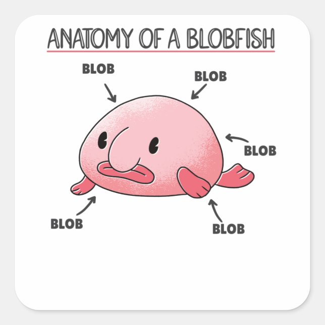 Blobfish-Anatomie Quadratischer Aufkleber (Vorderseite)