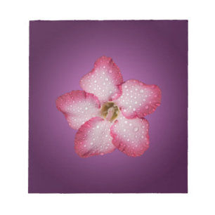 Bloc-note Adénium Fleur Rose Flore Dégradé Violet