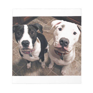 Bloc-note adorables chiots pitbull chiens