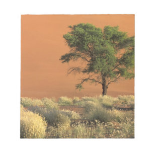 Bloc-note Afrique, Namibie, Parc national du Namib, Sossusvl