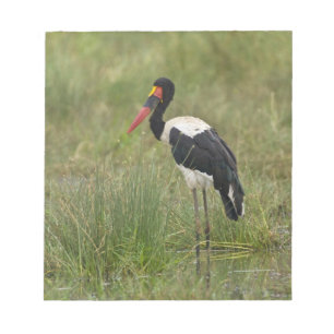 Bloc-note Afrique. Tanzanie. Cigogne à Saddle-billed mâle
