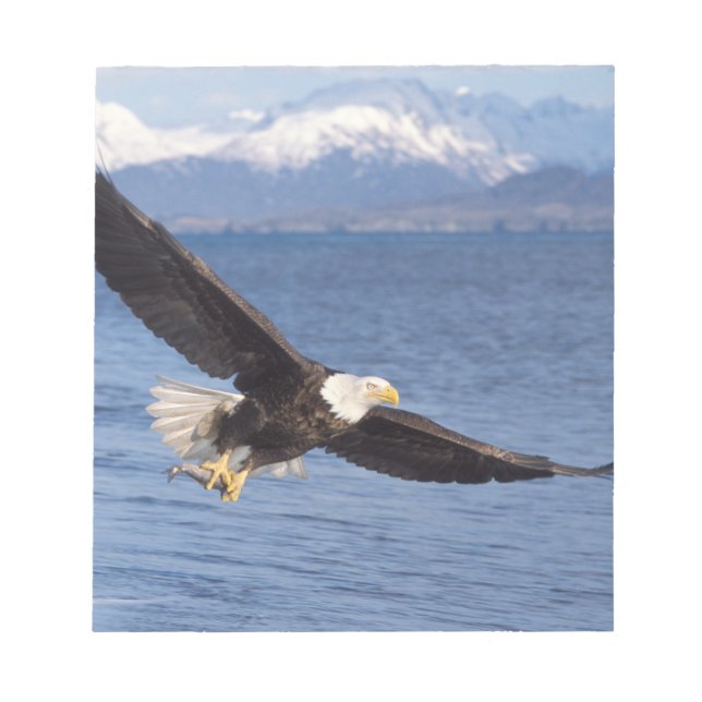 Bloc-note aigle à tête blanche, Haliaeetus leucocephalus, en (Devant)