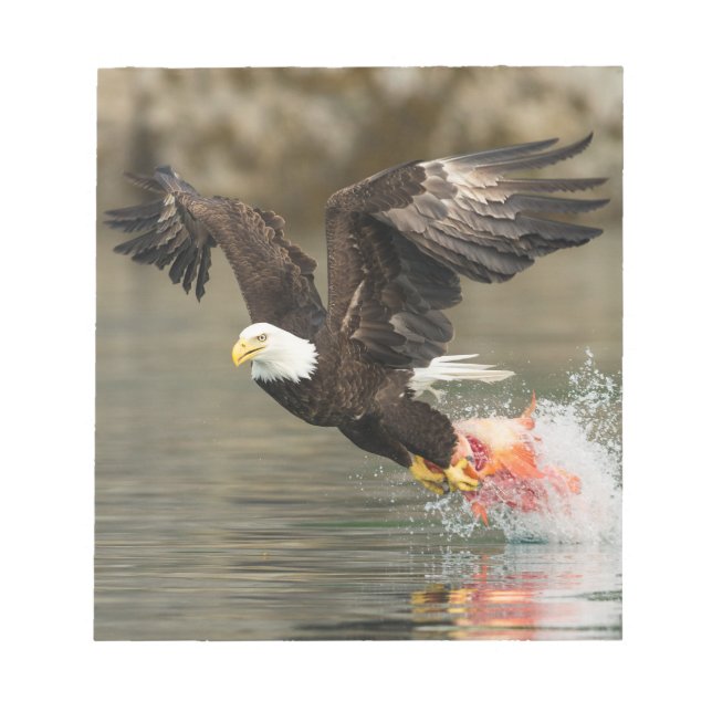 Bloc-note Aigle à tête plate (Devant)