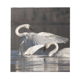 Bloc-note Aimer les cygnes