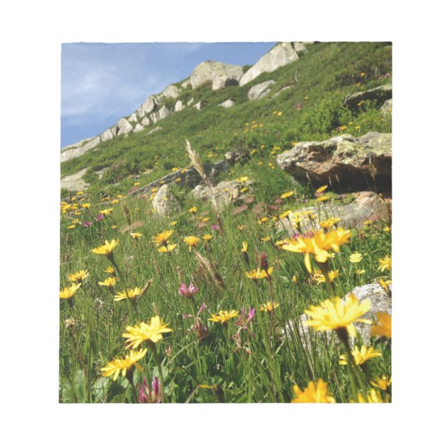 Bloc-note Amazing ! Alpine flowers (Devant)