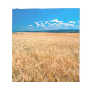 Bloc-note Amérique du Nord, États-Unis, Idaho. Champ d'orge 
