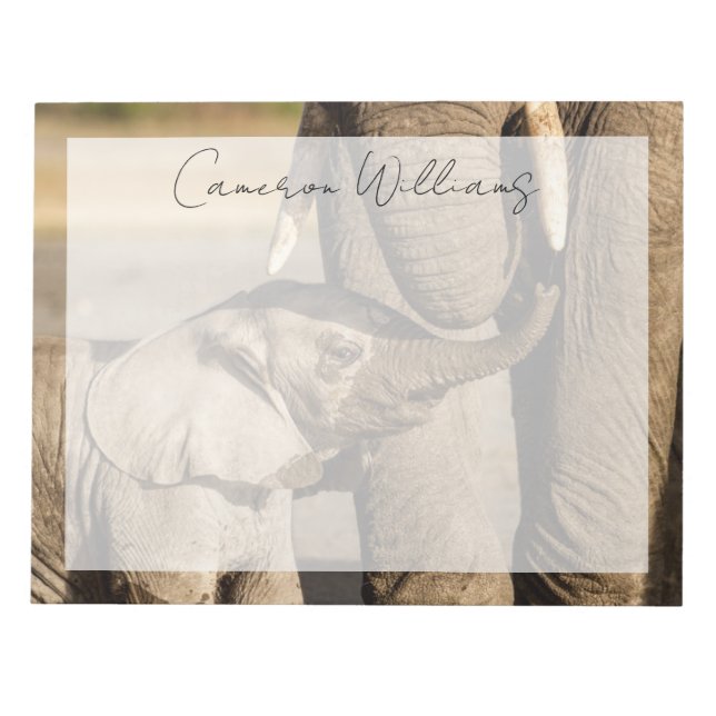 Bloc-note Animaux de bébés cutest | Baby Elephant & Mama (Devant)