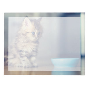 Bloc-note Animaux de bébés cutest Chaton persan aux yeux b