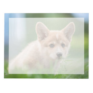Bloc-note Animaux de bébés cutest Corgi Puppy dans le tria