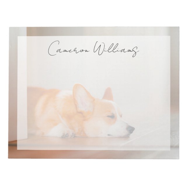 Bloc-note Animaux de bébés cutest | Corgi Sleeping (Devant)