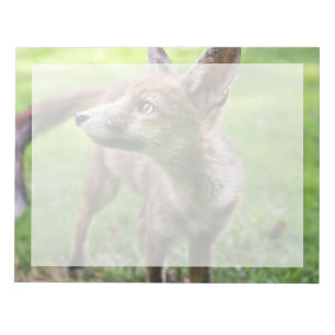 Bloc-note Animaux de bébés cutest Fox urbain