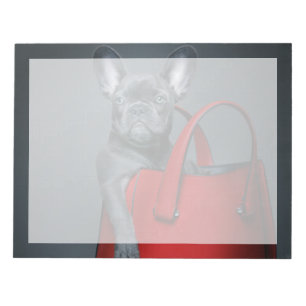 Bloc-note Animaux de bébés cutest   French Bulldog dans le s