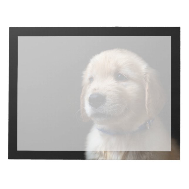 Bloc-note Animaux de bébés cutest | Golden Retriever Puppy (Devant)