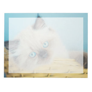 Bloc-note Animaux de bébés cutest Himalaya Seal Point Cat