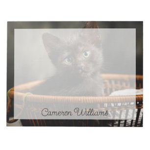 Bloc-note Animaux de bébés cutest   Kitten dans le panier