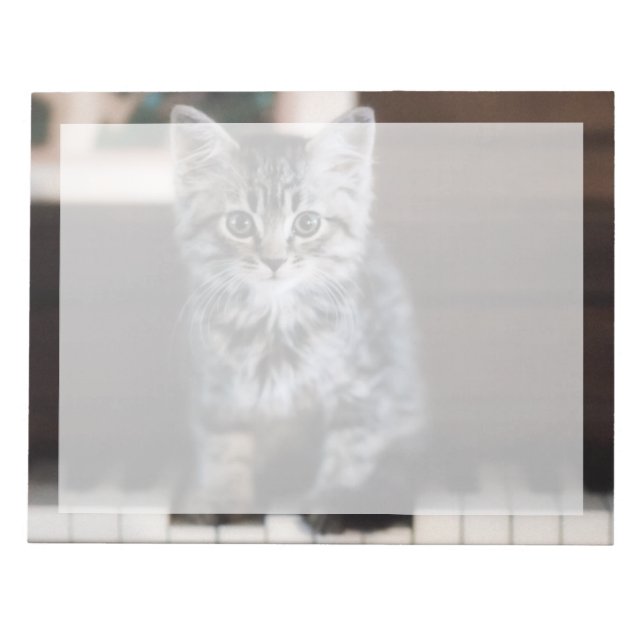 Bloc-note Animaux de bébés cutest | Kitten sur Touches de pi (Devant)