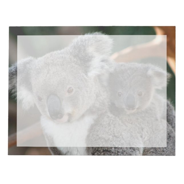 Bloc-note Animaux de bébés cutest | Koala et Joey (Devant)