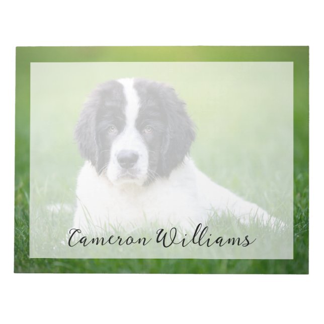 Bloc-note Animaux de bébés cutest | Newfoundland Puppy (Devant)