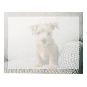 Bloc-note Animaux de bébés cutest   Norfolk Terrier Puppy