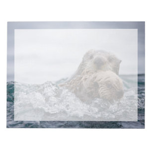 Bloc-note Animaux de bébés cutest   Otter Baby & Mère