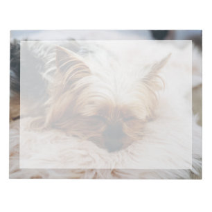 Bloc-note Animaux de bébés cutest Yorkshire Terrier