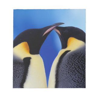 Bloc-note Antarctique, Manchots empereurs
