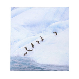 Bloc-note Antarctique, péninsule Antarctique. Chinstrap