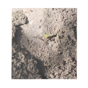 Bloc-note Ants Go Marching