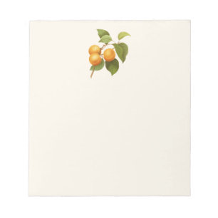 Bloc-note Apricots orange vintage