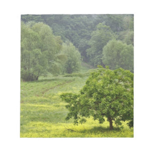 Bloc-note Arbre isolé dans un champ agricole, Toscane, 2