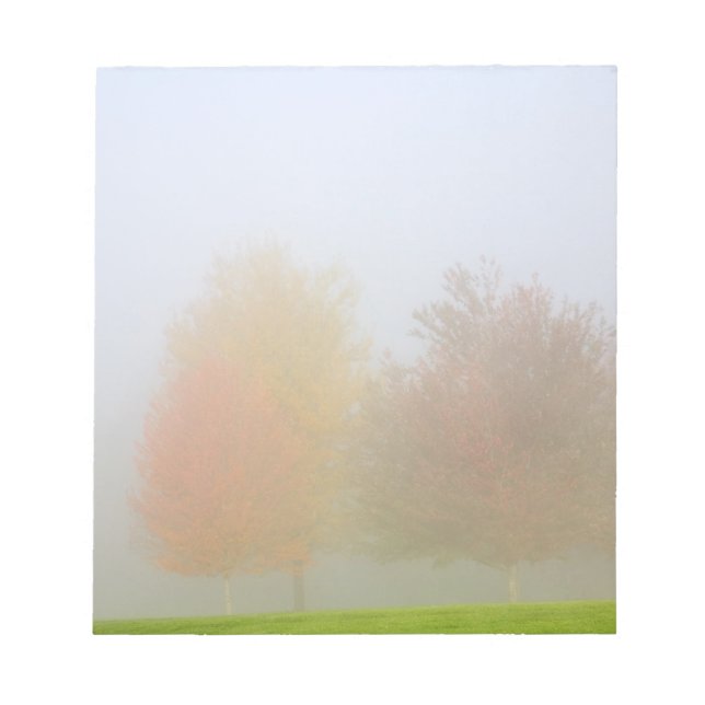 Bloc-note Arbres d'automne enveloppés de brume (Devant)