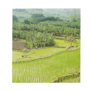 Bloc-note Asie, Chine, province du Yunnan, Honghe. Banane