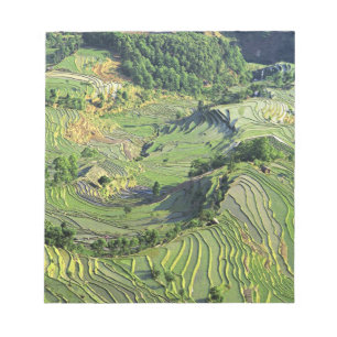 Bloc-note Asie, Chine, Yunnan, Yuanyang. Motif de vert