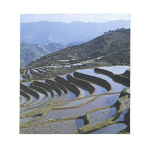 Bloc-note Asie, Chine, Yunnan, Yuanyang. Robuste