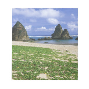 Bloc-note Asie, Japon, Okinawa, littoral de Yambaru, mer