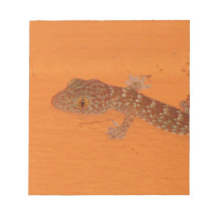 Bloc-note Baby Tokay Gecko