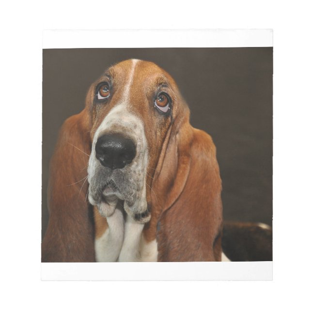 Bloc-note bassett hound 2 (Devant)