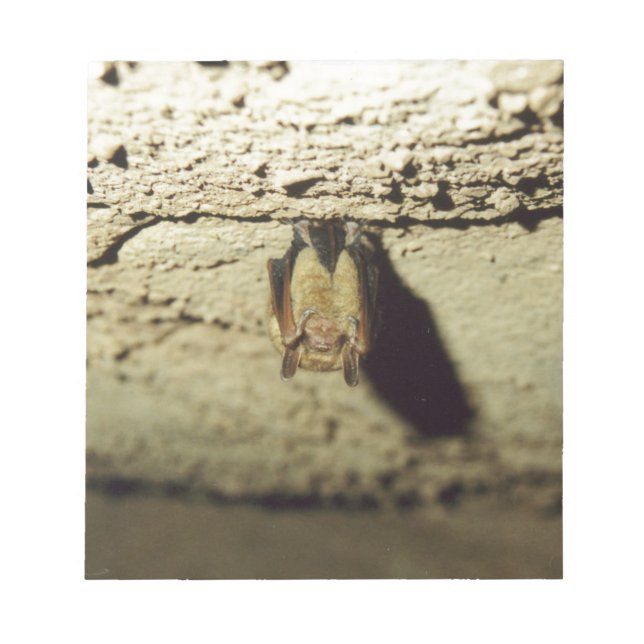 Bloc-note Bat (Devant)