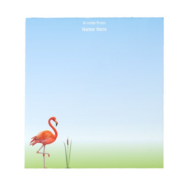 Bloc-note Beau Flamant rose sur Bleu clair (Devant)