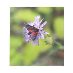 Bloc-note Beautiful moth