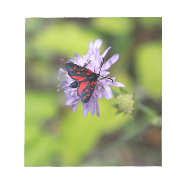Bloc-note Beautiful moth (Devant)