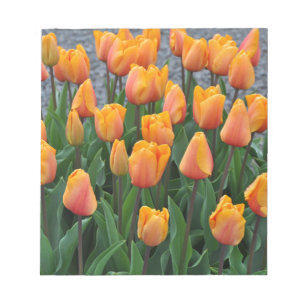 Bloc-note Belle tulipe orange