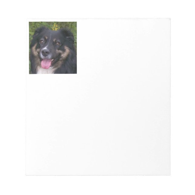 Bloc-note berger australien tri noir (Devant)