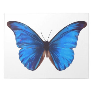 Bloc-note Beurre animal Insect Nature Morpho Bleu Post-it