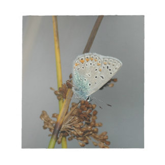 Bloc-note Bleu blanc orange avec points noirs Papillon