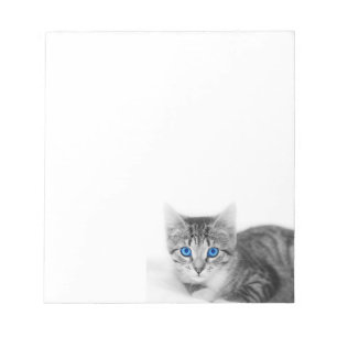 Bloc-note bloc - notes de chat