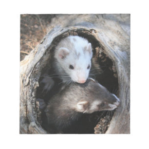 Bloc-note Bloc - notes de copains