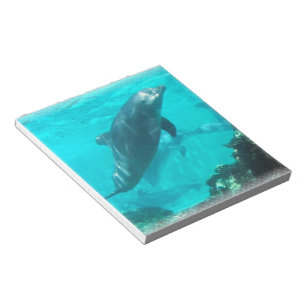 Bloc-note Bloc - notes de dauphin de natation