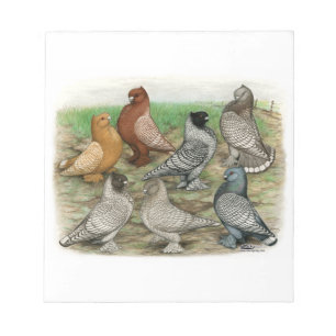 Bloc-note Blondinettes Laced Pigeons de Frill Classique