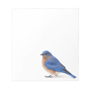 Bloc-note Bluebird